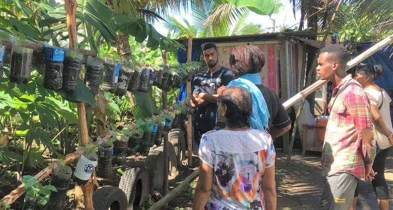 Urban farming and art help vulnerable people in Fiji during the COVID pandemic