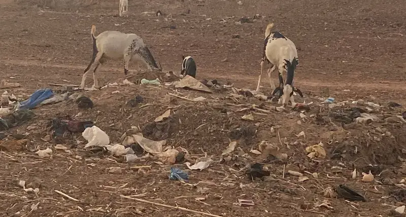 UN-Habitat project in Burkina Faso: Kongoussi, My city without plastic bags!
