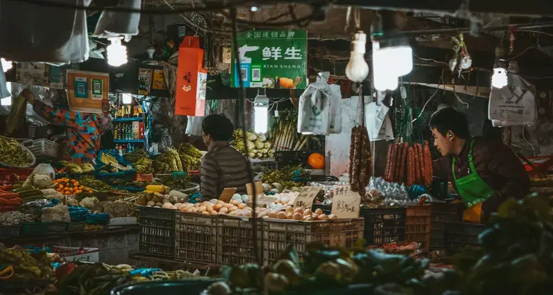 UN-Habitat and Shanghai co-organize third SDG Cities Global Conference